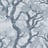 Bild von 
